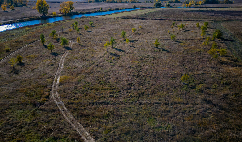 земля р-н Оренбургский с Каменноозерное фото 27