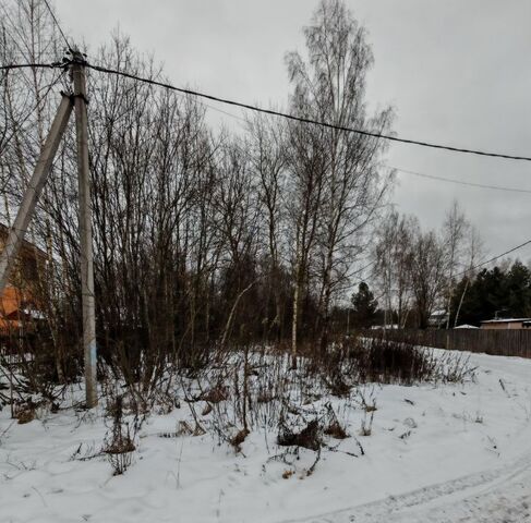 городской округ Шатура с Власово Шатура муниципальный округ фото