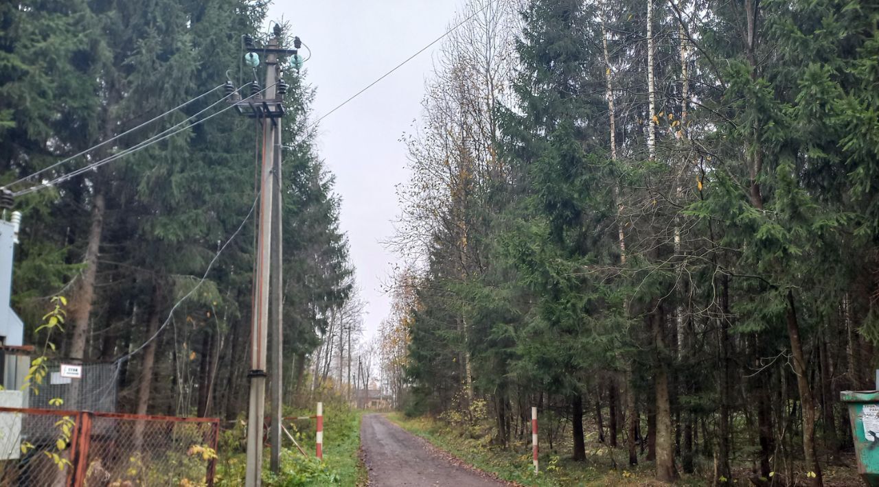 земля городской округ Солнечногорск д Рыгино снт Берёзовая роща фото 5