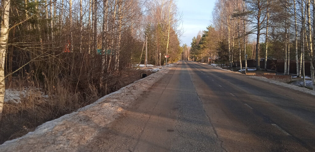 земля р-н Новгородский д Белая Гора ул Замошская 82 Бронницкое сельское поселение фото 3