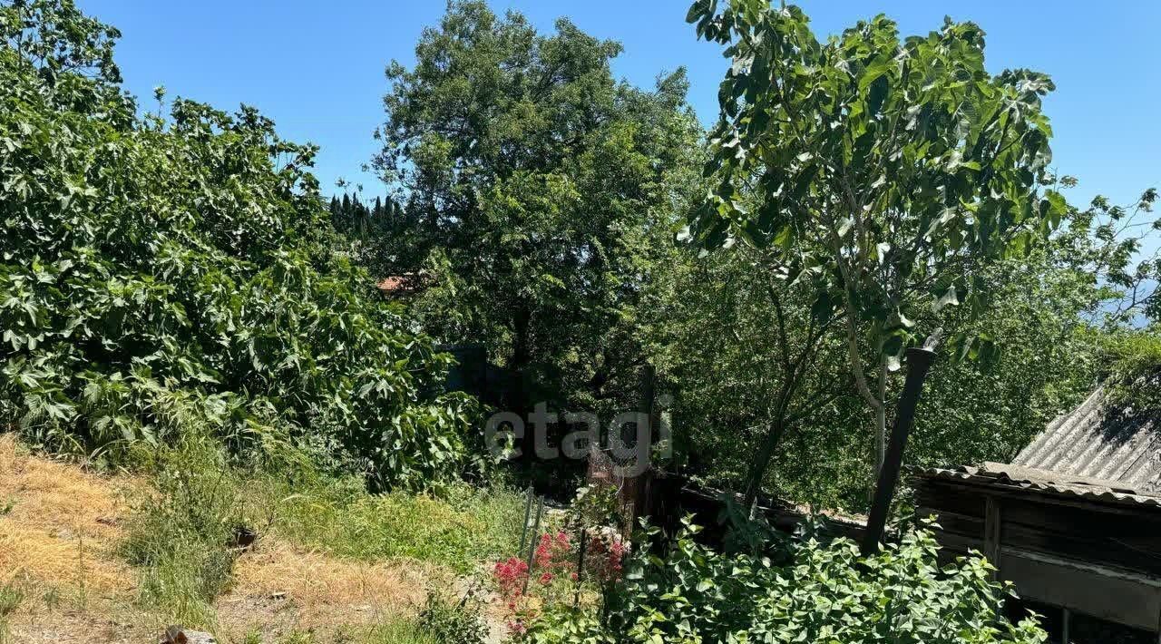 земля г Ялта пгт Кореиз ул. В. Г. Шкляревича фото 15