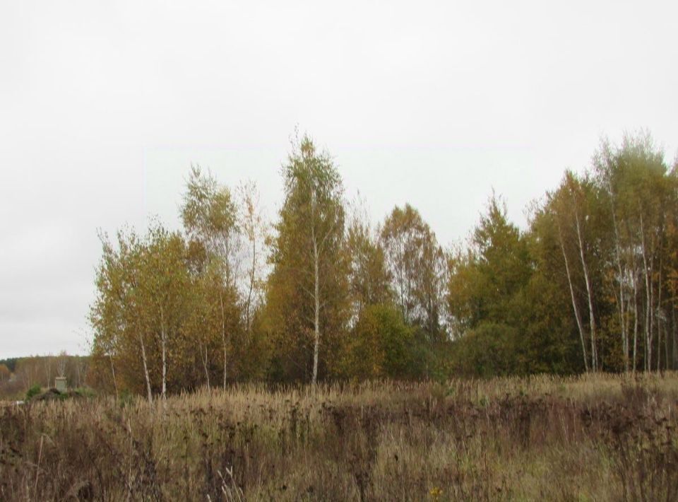 офис городской округ Коломенский с Пирочи Коломна городской округ фото 1