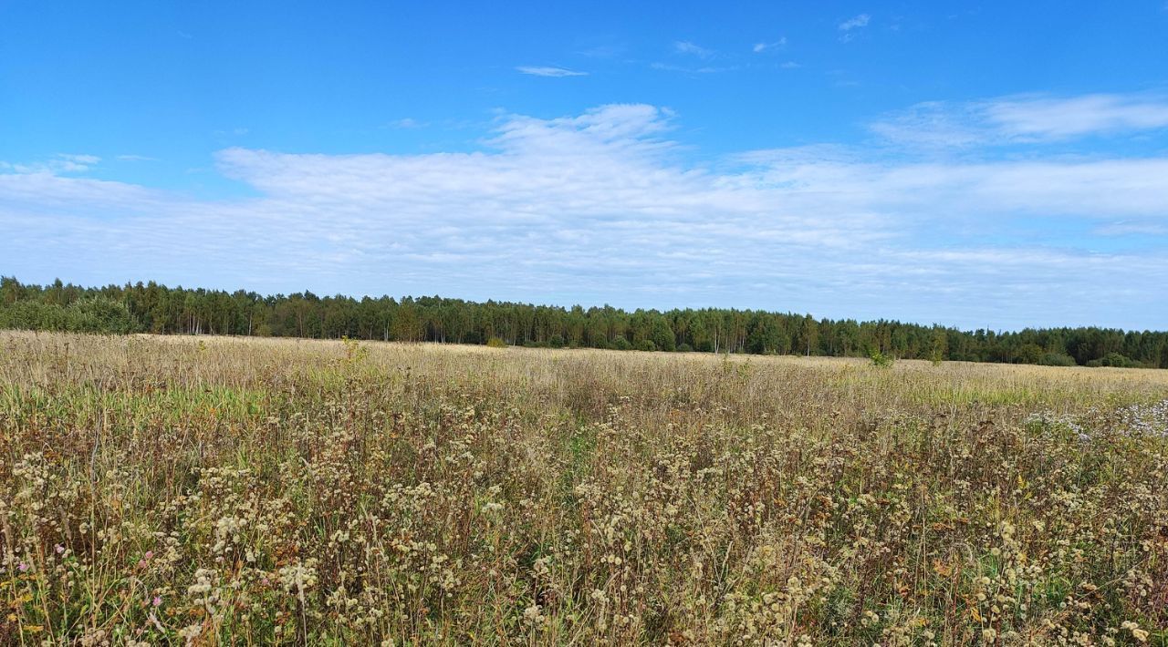 офис городской округ Раменский д Володино фото 1