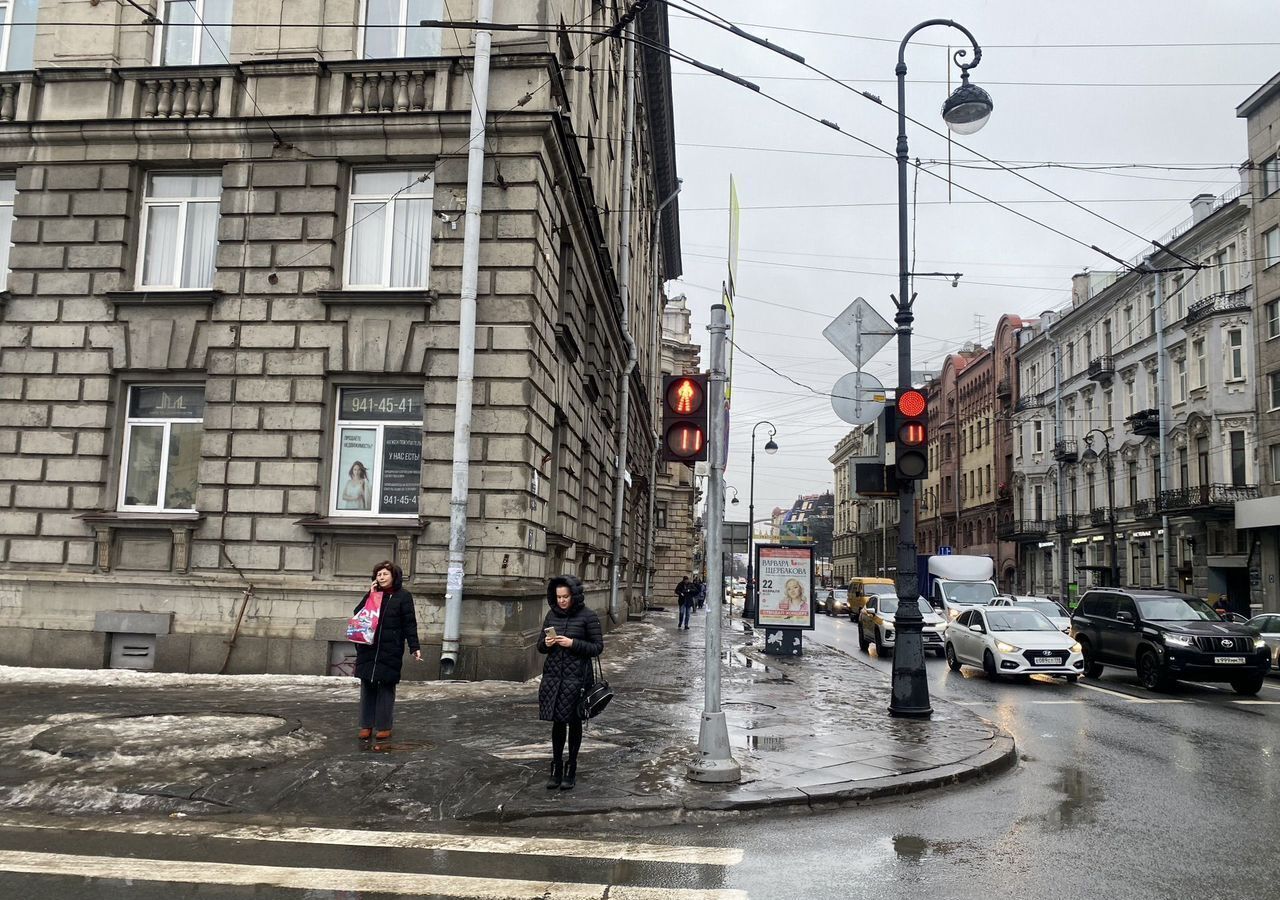 свободного назначения г Санкт-Петербург метро Петроградская пр-кт Каменноостровский 42б фото 1