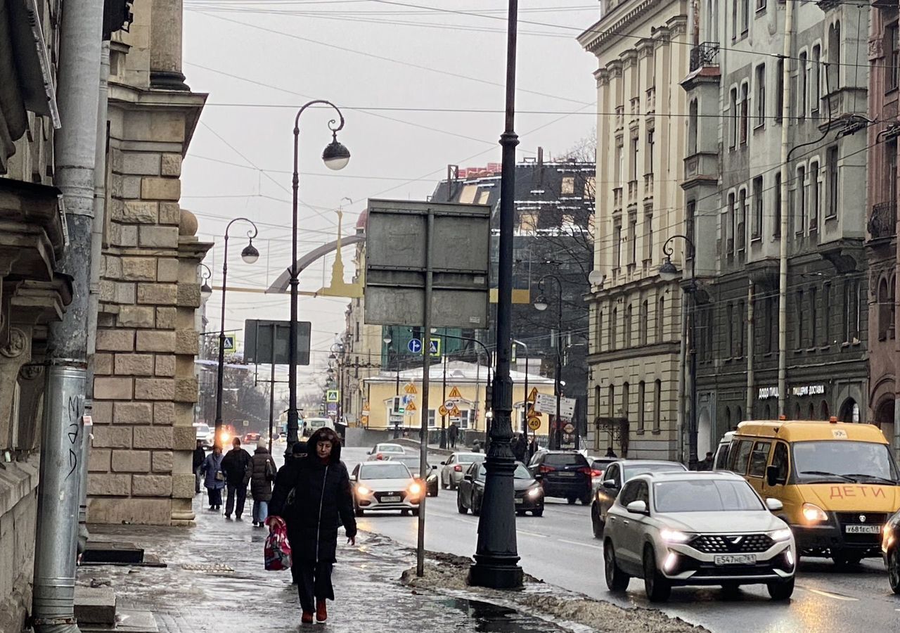 свободного назначения г Санкт-Петербург метро Петроградская пр-кт Каменноостровский 42б фото 9