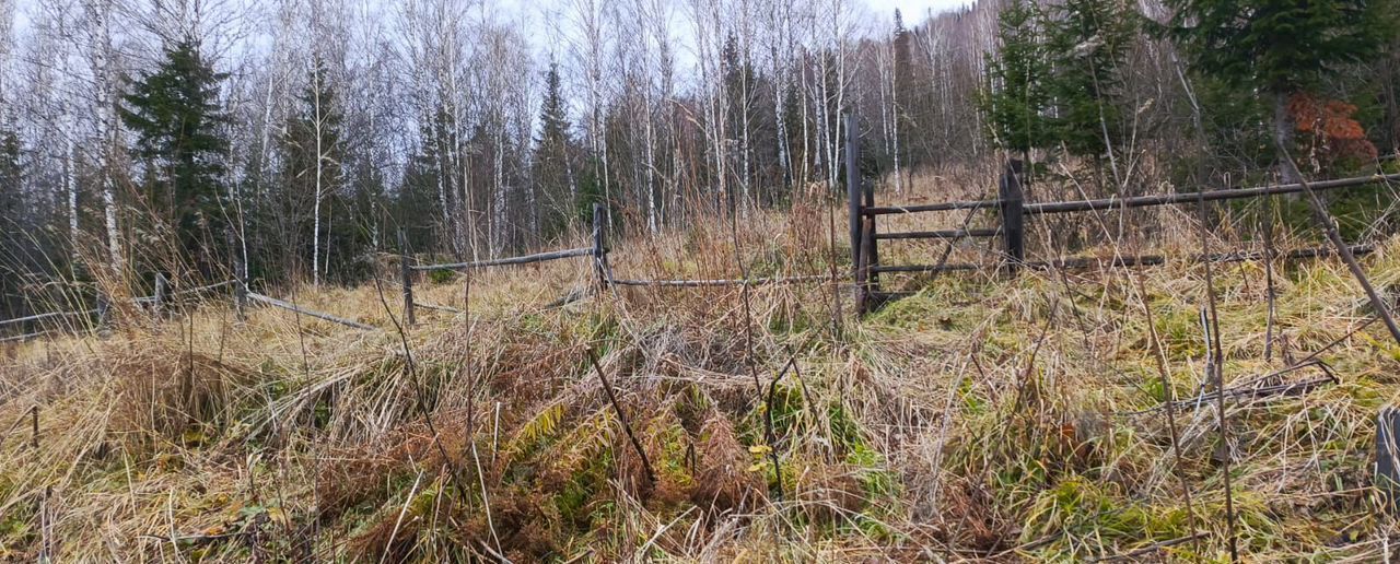 земля р-н Таштагольский пгт Каз Кемеровская обл. — Кузбасс, Казское городское поселение фото 1