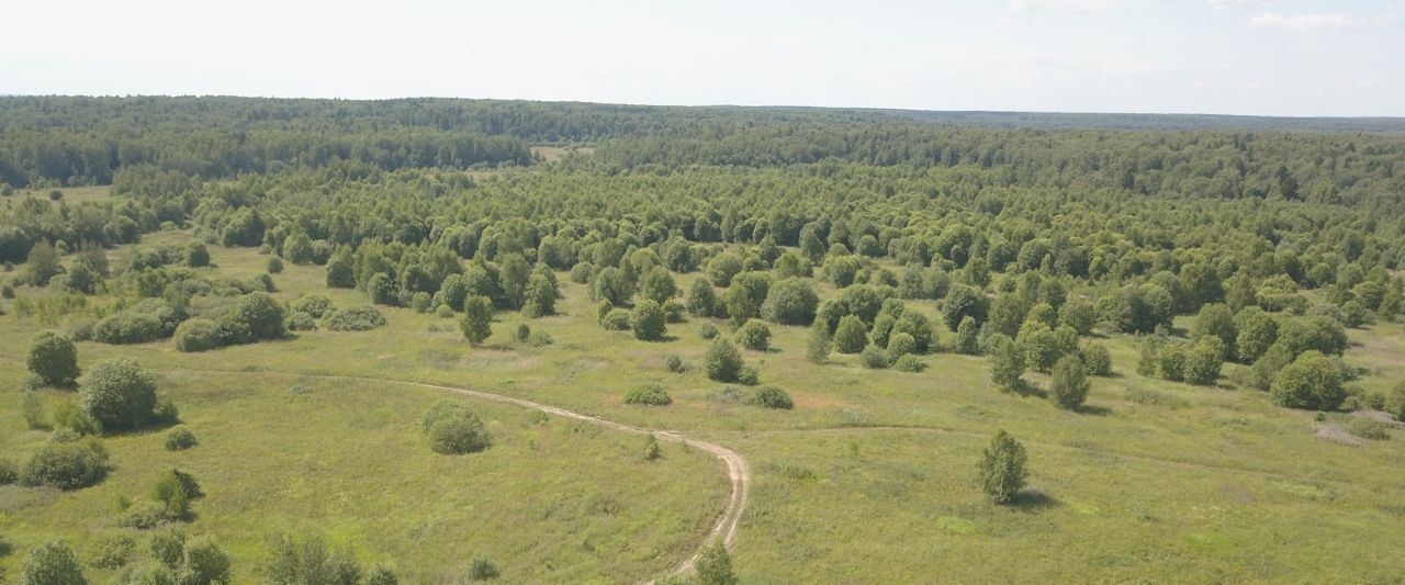 офис р-н Александровский д Бухары ул Центральная Каринское муниципальное образование фото 7