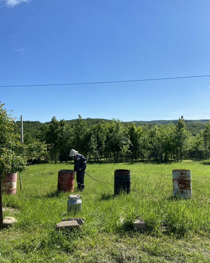 земля р-н Северский ст-ца Азовская Ильское городское поселение, садоводческое некоммерческое партнёрство Ведруссия фото 4