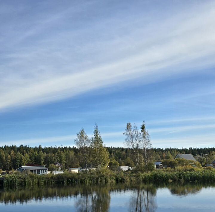 земля р-н Выборгский п Красная Долина Приморское городское поселение фото 1