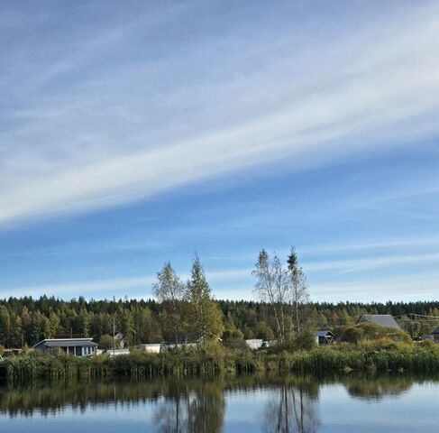 Приморское городское поселение фото