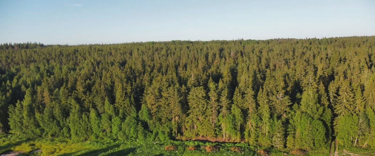 земля р-н Выборгский п Красная Долина Приморское городское поселение фото 1