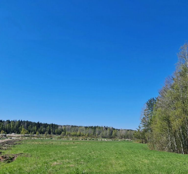 земля р-н Выборгский п Красная Долина Приморское городское поселение фото 1