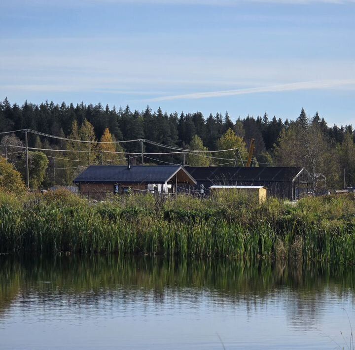 земля р-н Выборгский п Красная Долина Приморское городское поселение фото 3