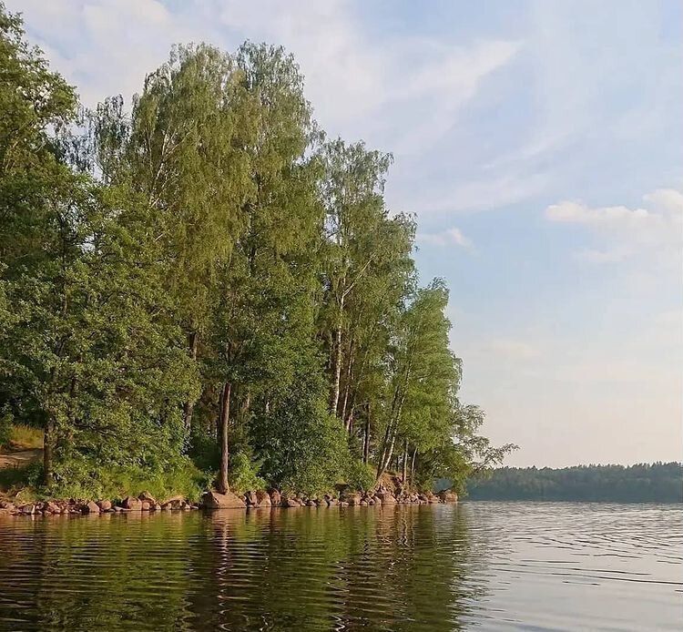 земля р-н Выборгский п Красная Долина Приморское городское поселение фото 4