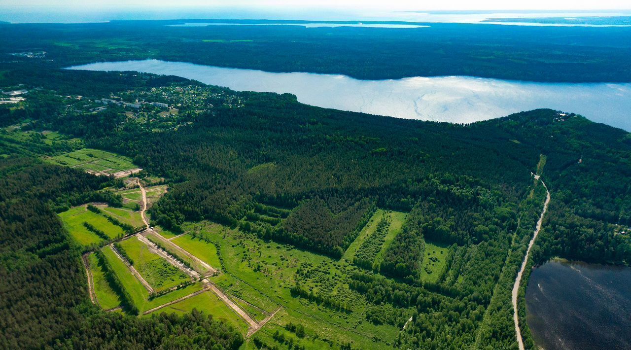 земля р-н Выборгский п Красная Долина Приморское городское поселение фото 2