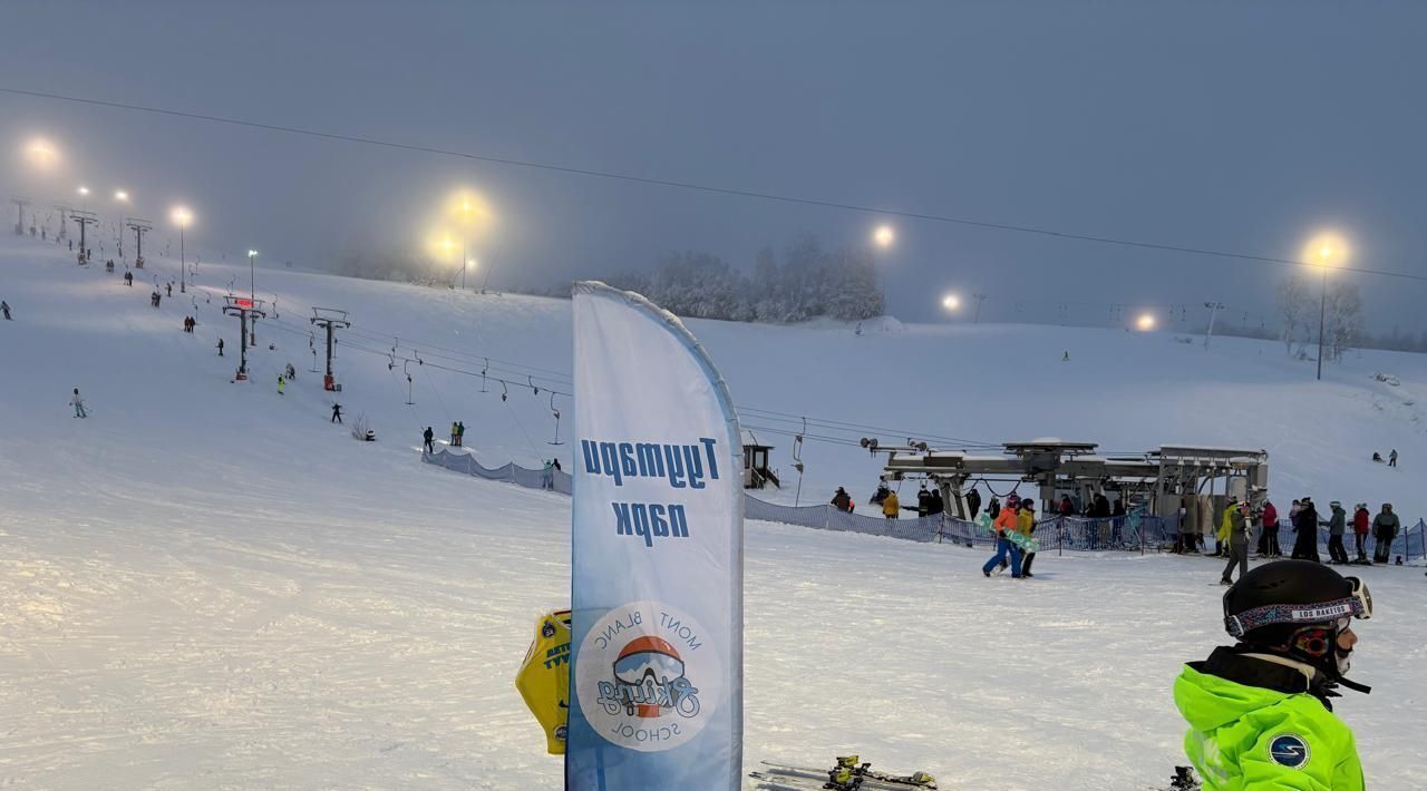 дом р-н Ломоносовский д Пикколово Виллозское городское поселение фото 40