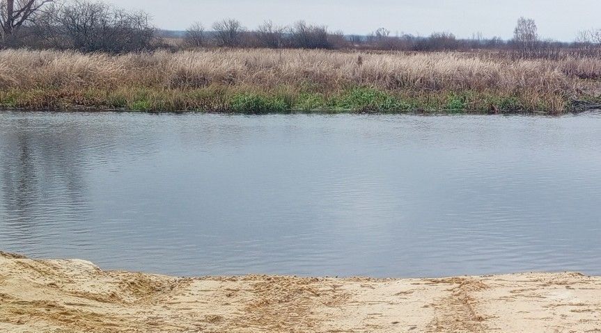 дом р-н Моршанский с Черкино Моршанский муниципальный округ фото 7