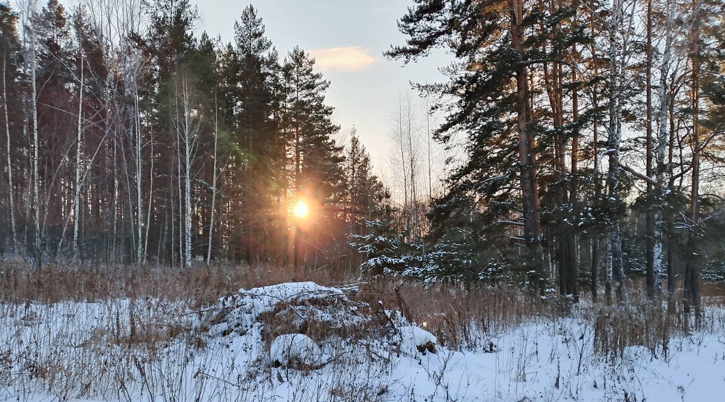 земля г Полевской п Зеленый Лог ул Песчаная фото 1