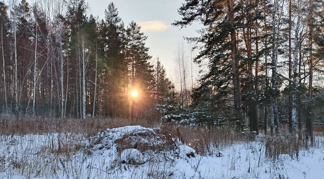 п Зеленый Лог ул Песчаная фото