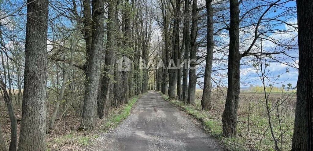 земля Вышгородское сельское поселение, КП Кораблино-берег фото 4