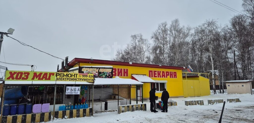 земля г Тюмень снт Царево ул Голубиная фото 17