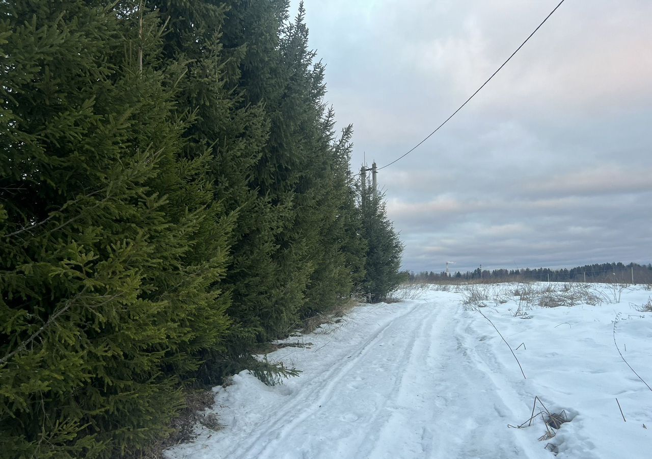 земля городской округ Сергиево-Посадский г Хотьково 43 км, территория Быково-Дачная, Ярославское шоссе фото 1