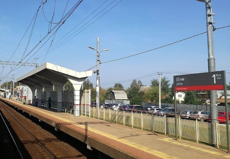 дом городской округ Богородский д Вишняково ул Центральная 206 20 км, Электроугли, Носовихинское шоссе фото 20