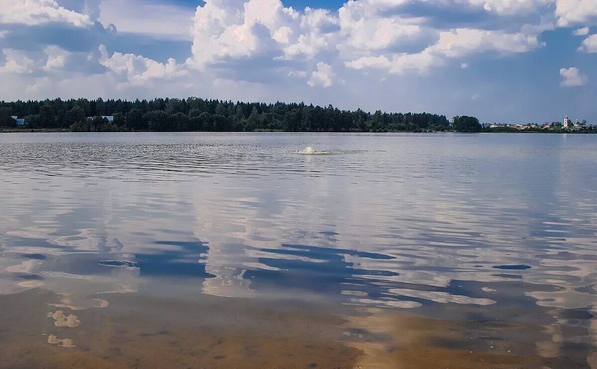 дом городской округ Богородский д Вишняково ул Центральная 206 20 км, Электроугли, Носовихинское шоссе фото 22