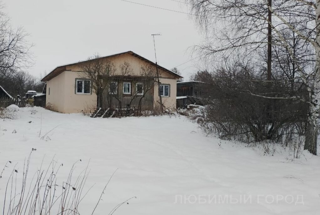 дом р-н Богородский д Копнино Парк Культуры фото 1