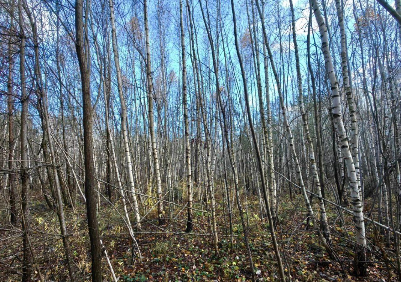 земля р-н Заокский рп Заокский фото 10