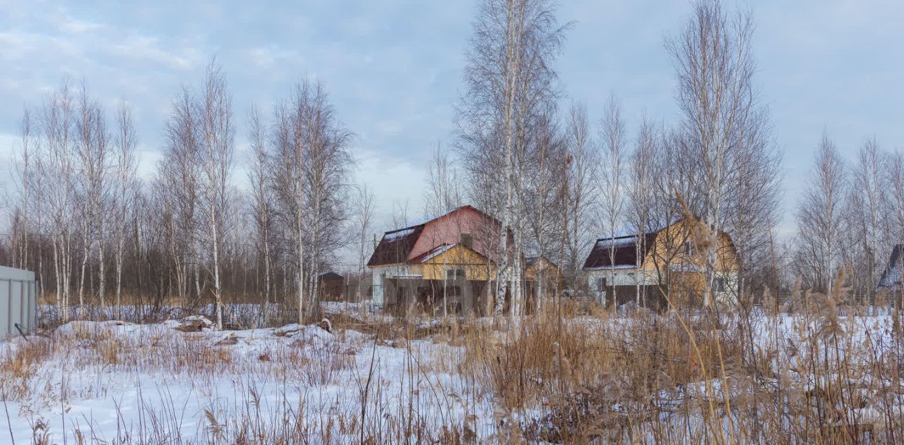 земля г Тюмень р-н Центральный СОСН Березка-3 тер., ул. 26-я фото 11