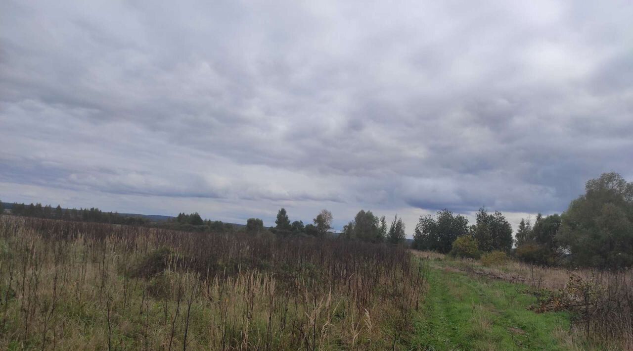 земля городской округ Клин д Ватолино фото 4