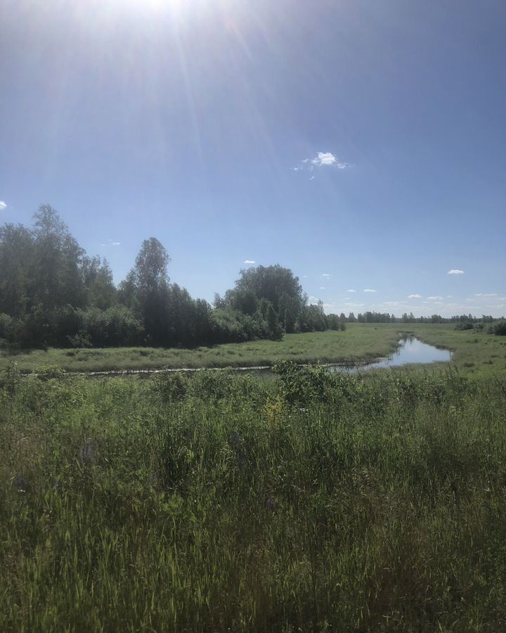 земля р-н Кетовский с Падеринское ул Васильева 4 Курган фото 1