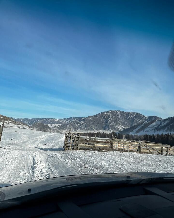 земля р-н Онгудайский с Шашикман Онгудай фото 4