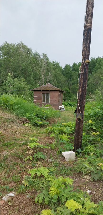 земля р-н Выборгский п Лужки Рябовское шоссе, 50 км, Приморское городское поселение, Красная Долина фото 1