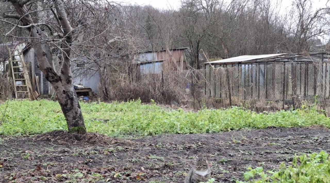 дом р-н Багратионовский п Староселье Багратионовский муниципальный округ фото 13