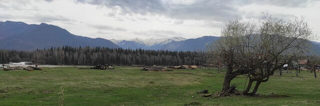 р-н Усть-Коксинский с Тюнгур ул Набережная фото