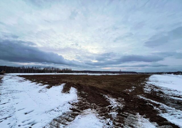 60 км, коттеджный пос. Торбеево ИЖС, 364, Михнево, Новокаширское шоссе фото