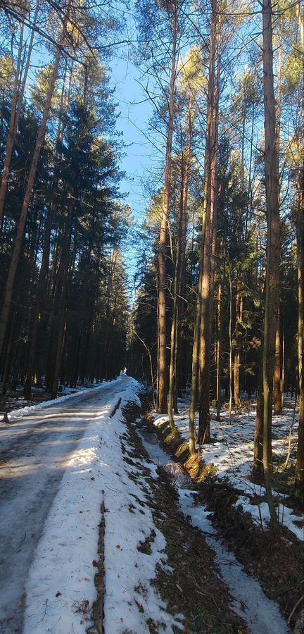 дом городской округ Наро-Фоминский 50 км, 69, Наро-Фоминск, СНТ Лесная Поляна, Киевское шоссе фото 2