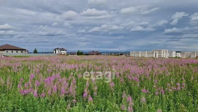 земля д Азьмушкино Пятый элемент кп фото