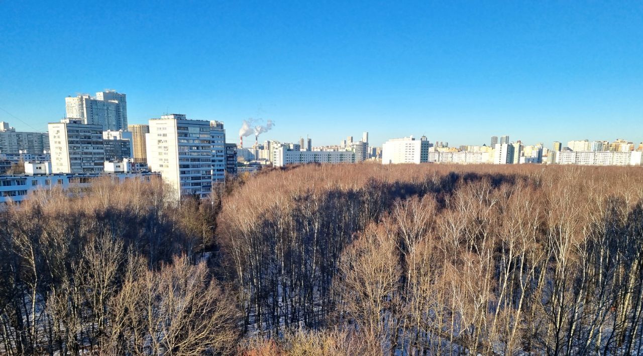 квартира г Москва метро Юго-Западная пр-кт Ленинский 144к/3 муниципальный округ Тропарёво-Никулино фото 8