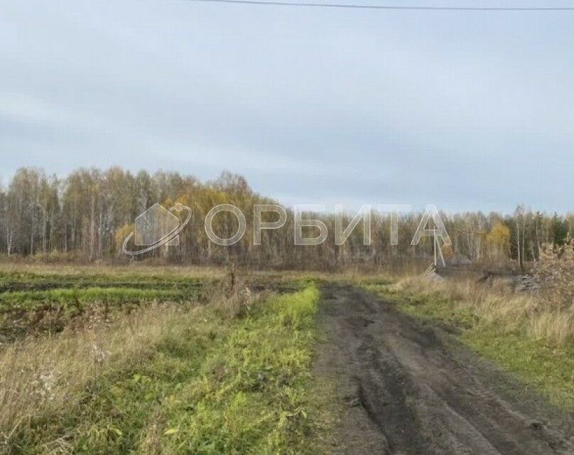 земля р-н Слободо-Туринский д. Ермолина фото 1