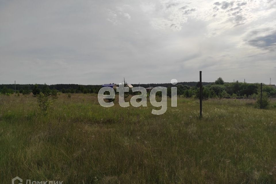 земля р-н Талицкий п Троицкий ул Васильковая фото 4