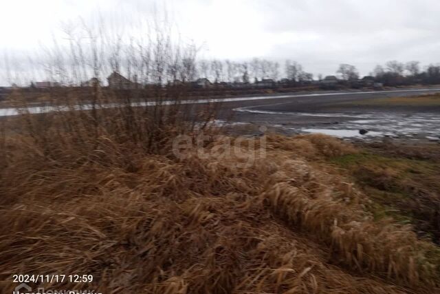 земля Северный, Череповец городской округ фото