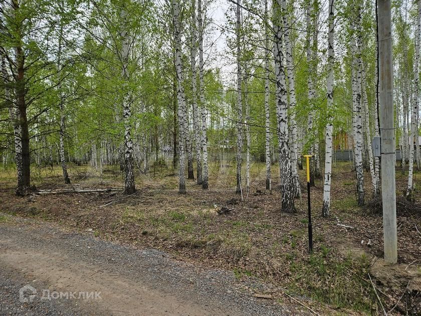 земля р-н Нижнетавдинский ДНТ Царицыно фото 1