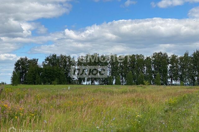 земля Английский Рожок фото