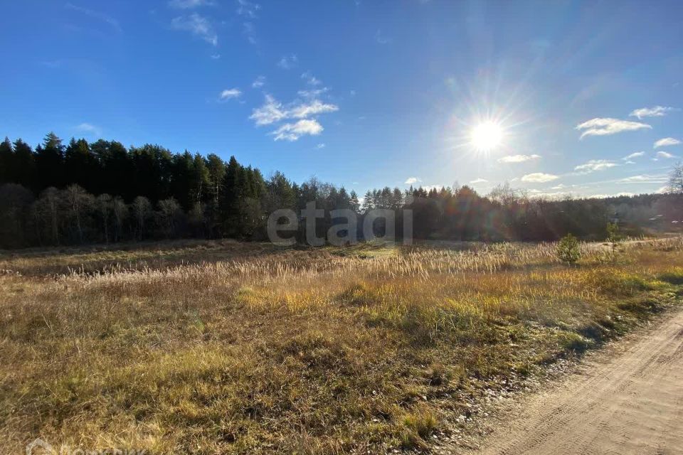 земля р-н Костромской фото 2