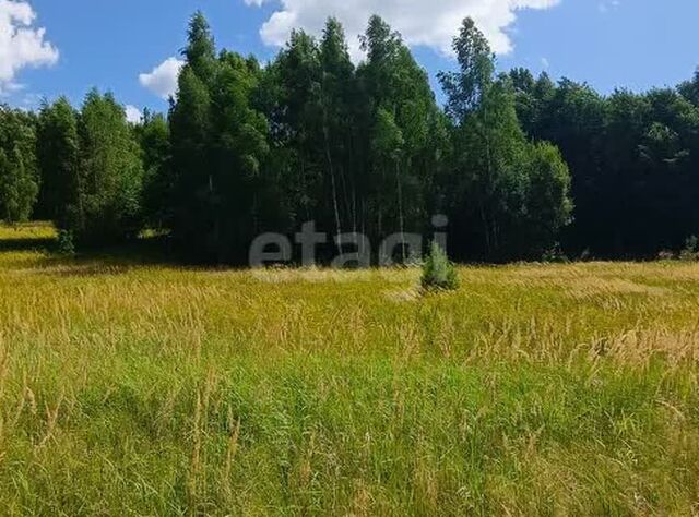 Калуга городской округ, Муниципальное образование Город Калуга фото