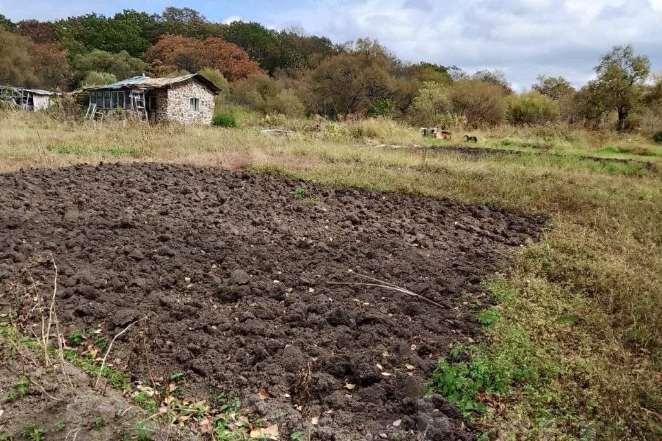 земля р-н Уссурийский село Баневурово фото 1