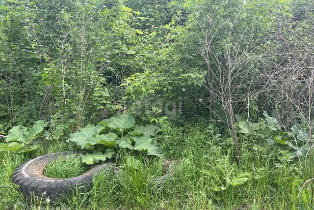 р-н Пролетарский Саранск городской округ, Пролетарский фото